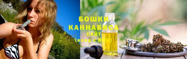 соль ск Вяземский