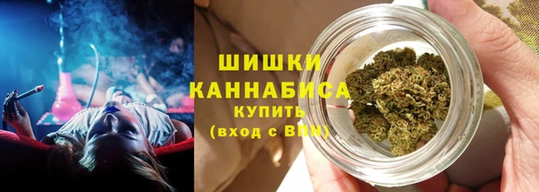 соль ск Вяземский
