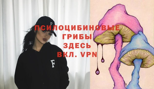 соль ск Вяземский